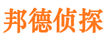 洛龙侦探公司